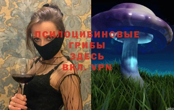 ешки Липки
