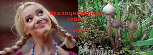 ешки Липки