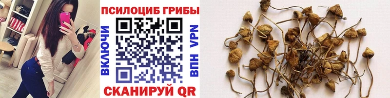 кракен как зайти  Соль-Илецк  Галлюциногенные грибы ЛСД  купить наркоту 