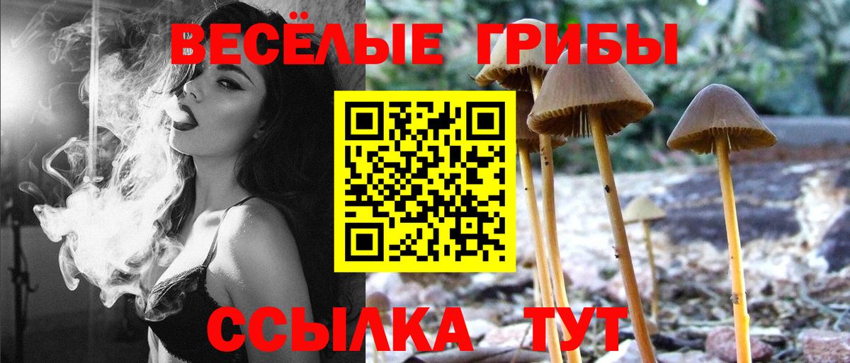 Псилоцибиновые грибы Psilocybine cubensis  Вход с VPN  Соль-Илецк 
